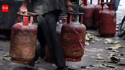 LPG woes: 2 power subsidy for TN eateries | India News