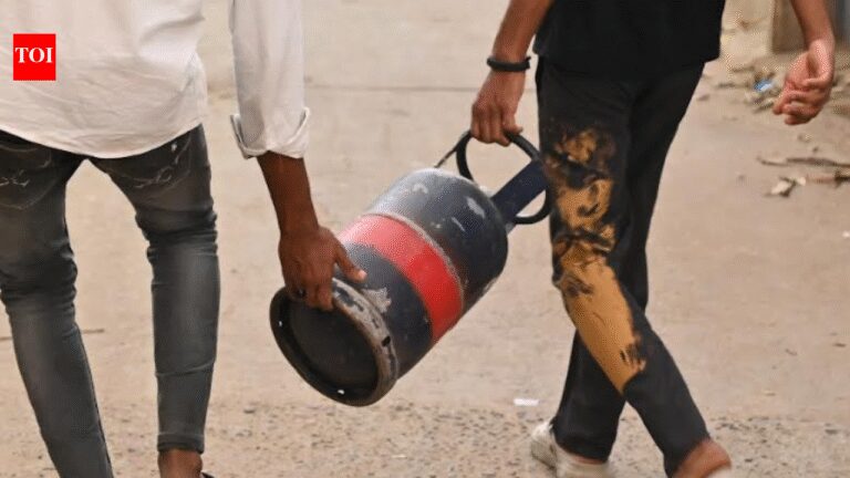 LPG shortage hits MSMEs; 40% production halted in Coimbatore district | Coimbatore News