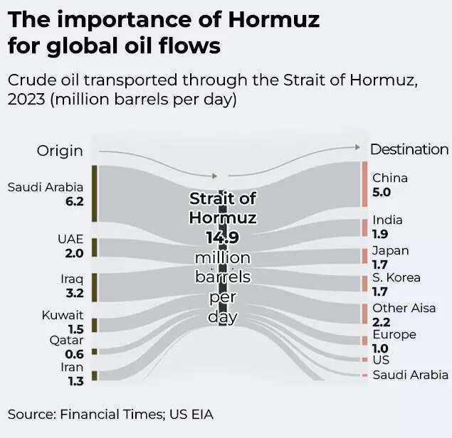 Securing LPG, LNG, crude oil: India plans evacuation for ships near Strait of Hormuz – here’s what’s being considered