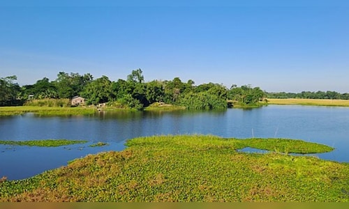 Assam polls: Congress and Raijor Dal finalise alliance; state party gets 11 seats