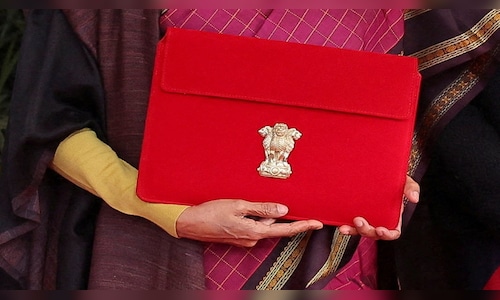 Union Budget 2026: FM sets aside ₹250 crore to train animators