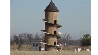 The GOAT tower: Why Illinois farmers built this 31-foot tower just for goats | World News