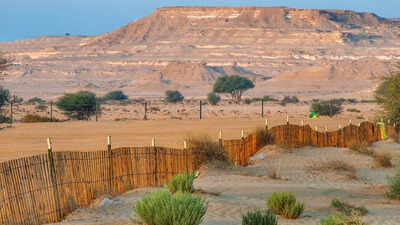 This country has almost no natural forests, and the reason might surprise you |