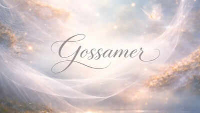 Word of the Day: Gossamer |