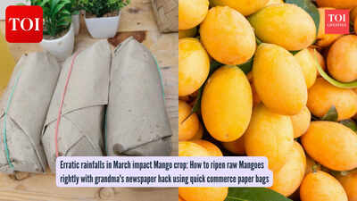 Erratic rainfalls in March impact Mango crop: How to ripen raw Mangoes rightly with grandma’s newspaper hack using quick commerce paper bags