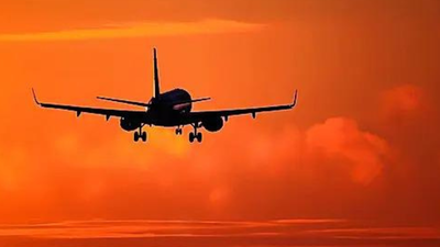 Cut airport fees for domestic flights by 25% for 3 months: Government