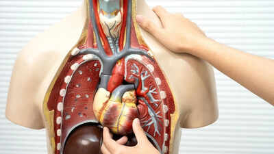 Organ Stress: No symptoms, real risk: Subtle signs of organ stress most people ignore and how to prevent damage