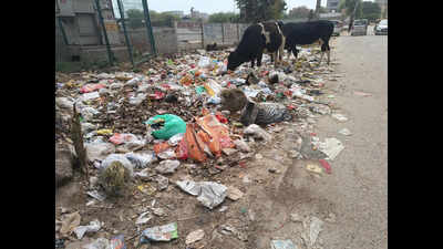 MCG to hire agency to transport waste to Bandhwari landfill for 4 months | Gurgaon News