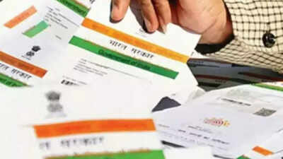 ‘Long-pending demand’: Ladakh residents’ Aadhaar cards to reflect UT’s name instead of ‘Jammu and Kashmir’ | India News