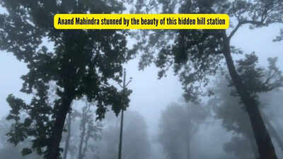 “I plead guilty of that too”, Anand Mahindra pleasantly shocked after seeing this hidden hill station in Jharkhand