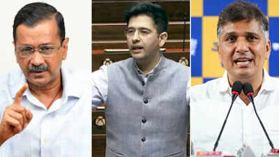 Z security, ED raids row: AAP-Raghav Chadha faceoff turns ugly; BJP piles on | India News