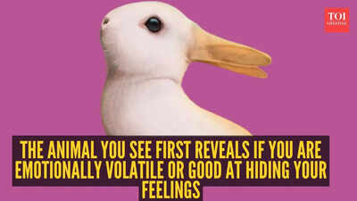 Optical illusion personality test: Rabbit or duck? The animal you see first reveals if you are emotionally volatile or good at hiding your feelings |