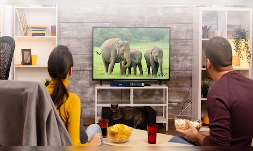 GTPL Hathway Q4 swings to ₹15 crore loss despite 4% revenue growth