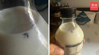 ‘Is this your idea of protein?’ Author finds insect in Provilac milk bottle, founder responds, says…
