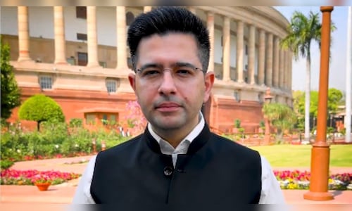 AAP vs Raghav Chadha: Can a political party remove its Rajya Sabha MP