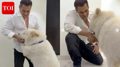 Salman Khan’s latest pics with My Sukh prove he is the happiest with his pet dog- PICS |