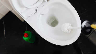 Should you close the toilet lid before flushing: The right way to maintain toilet hygiene |
